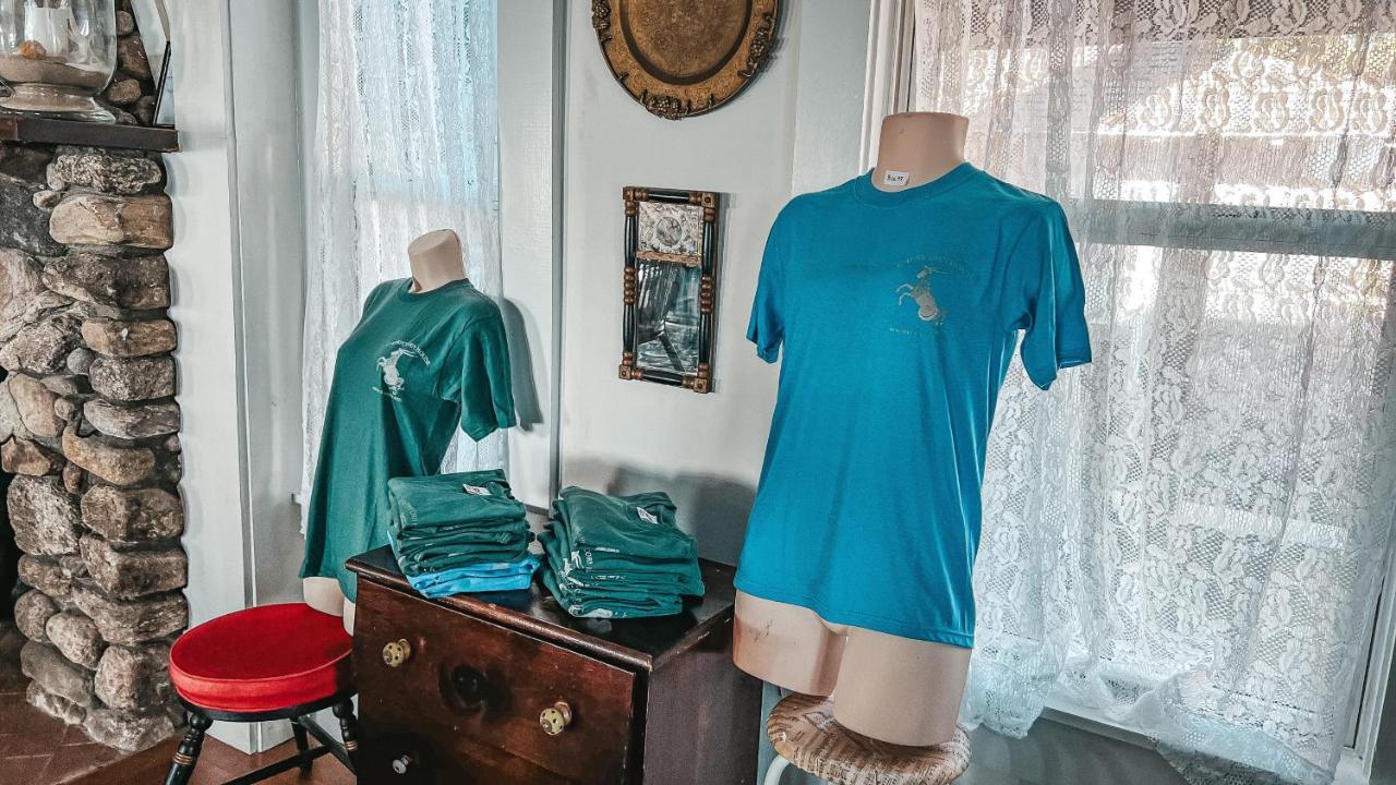 Privatunterkunft Capricorn House Oak Bluffs